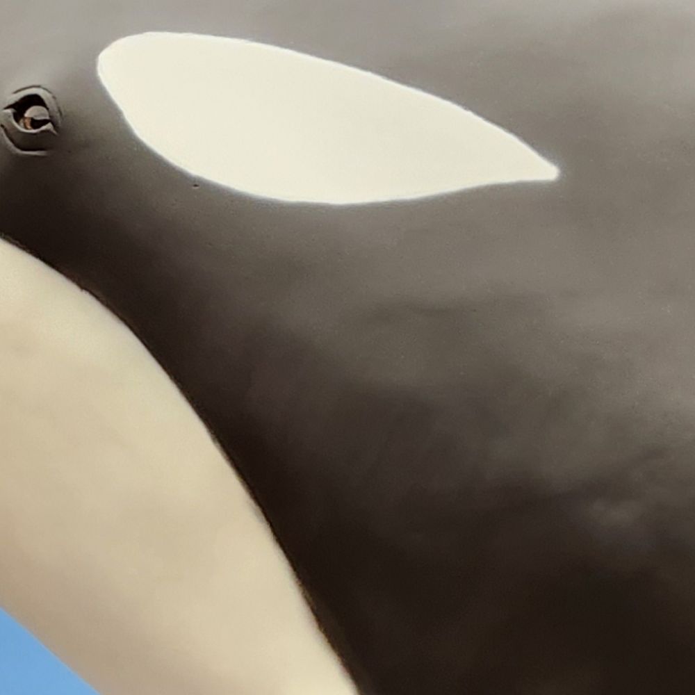 ガチャガチャマユゲムシ