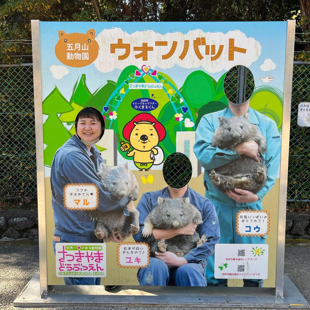 陽歌🌷ハルカ