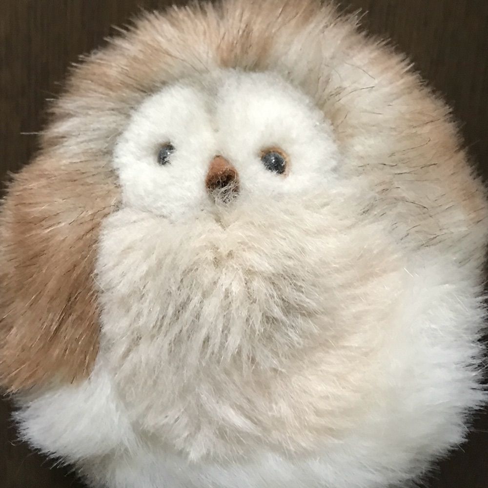 風太