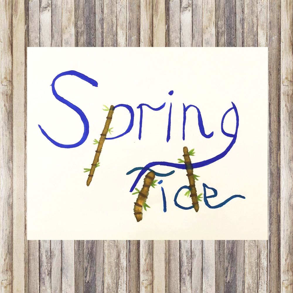 SpringTide