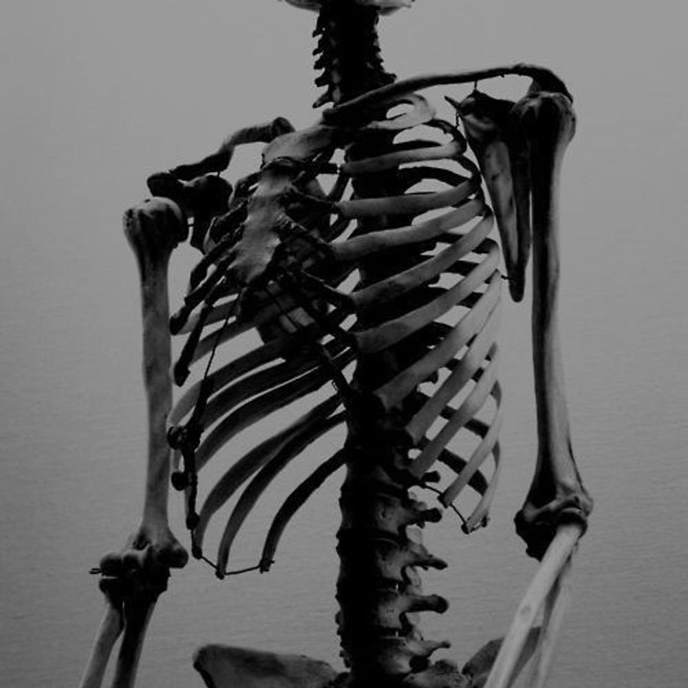 朔