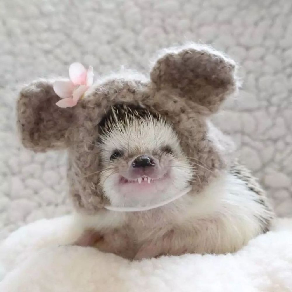 mein0921.bsky.social