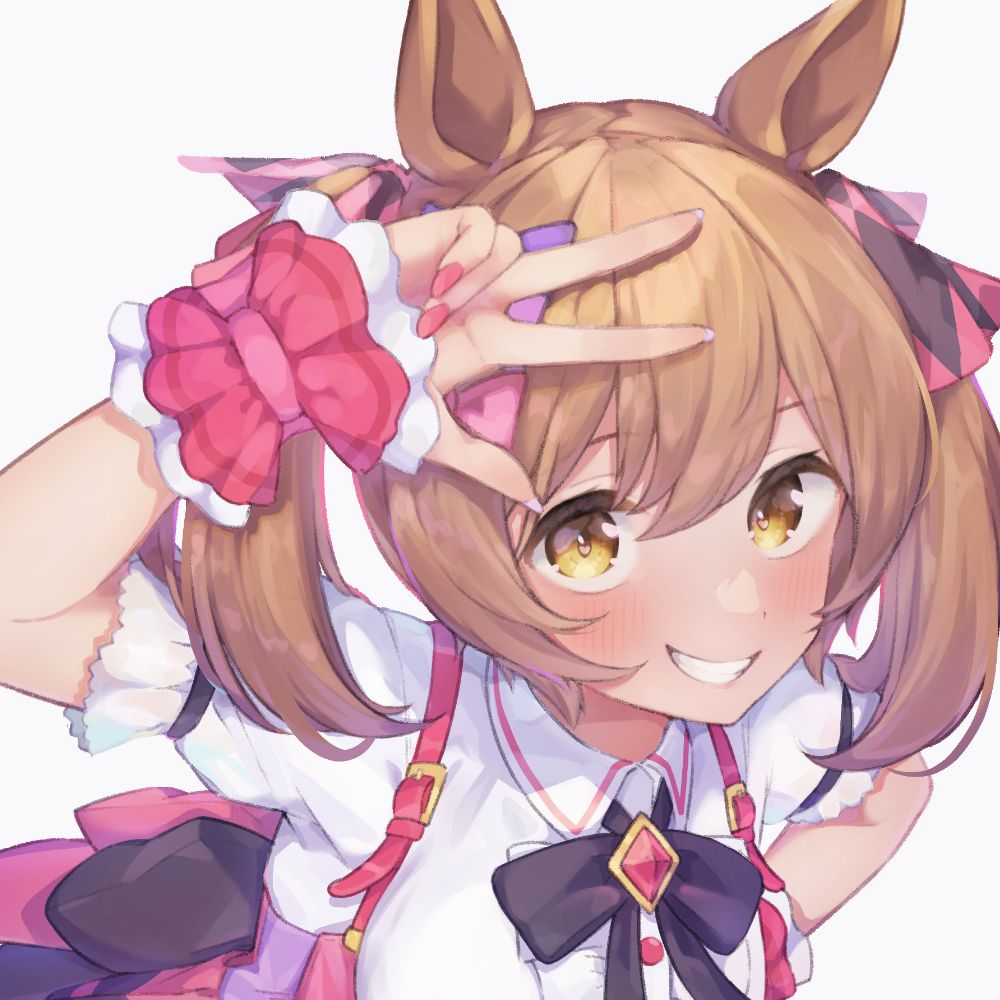 リトマスしけんし@日曜西け-12b