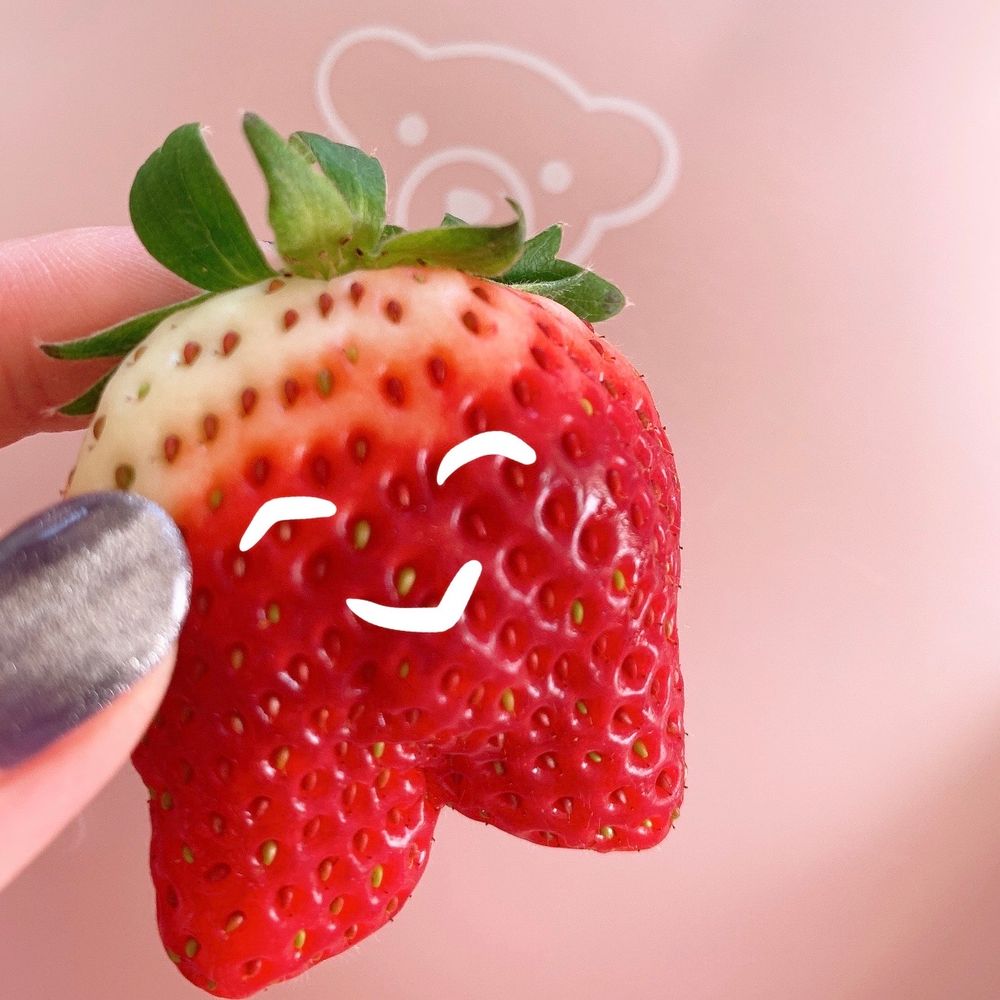 🍓 ˖ ⊹ ﾟ｡ ✧