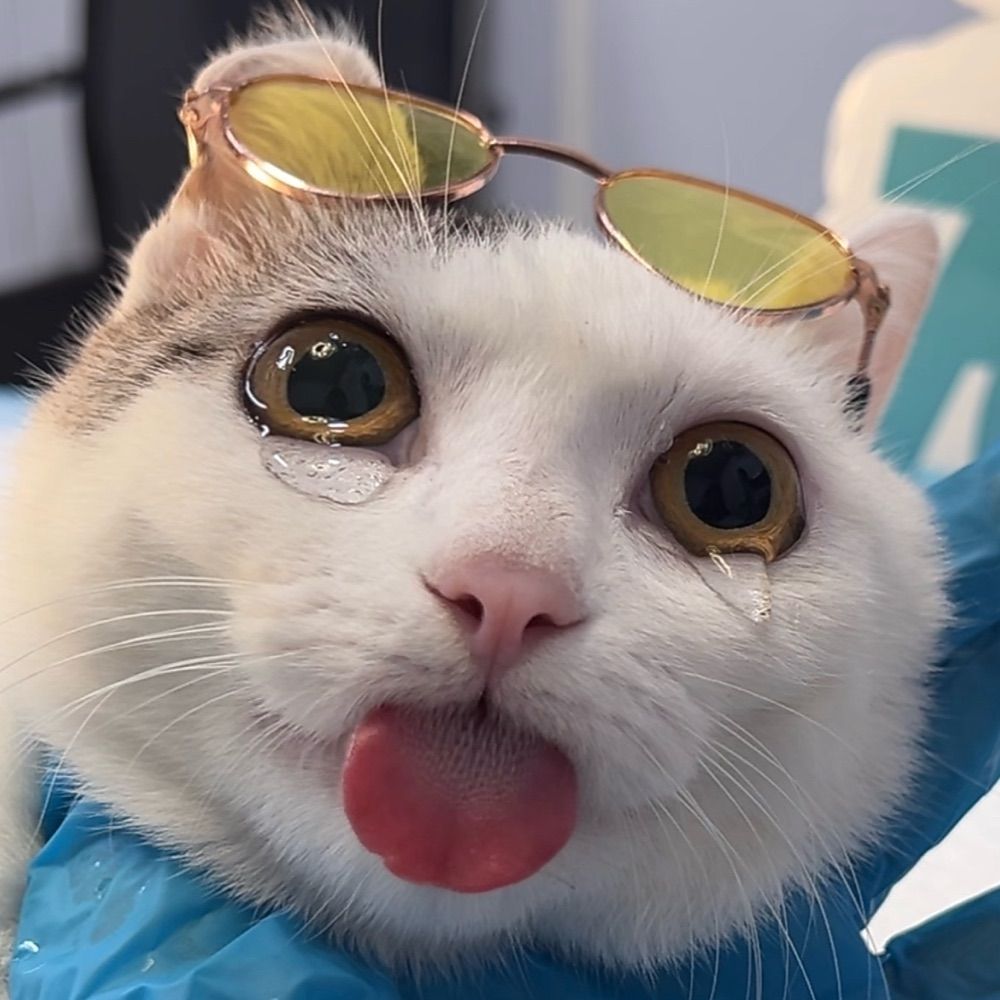白袜粗腿熊