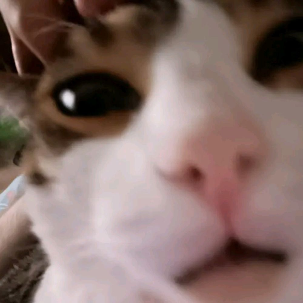baggins