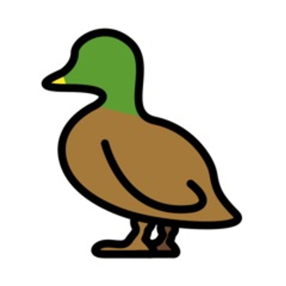 🦆しょう