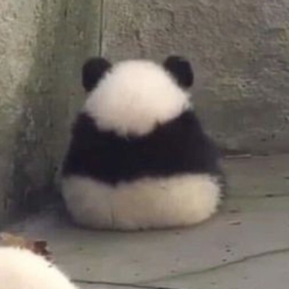 ぴー