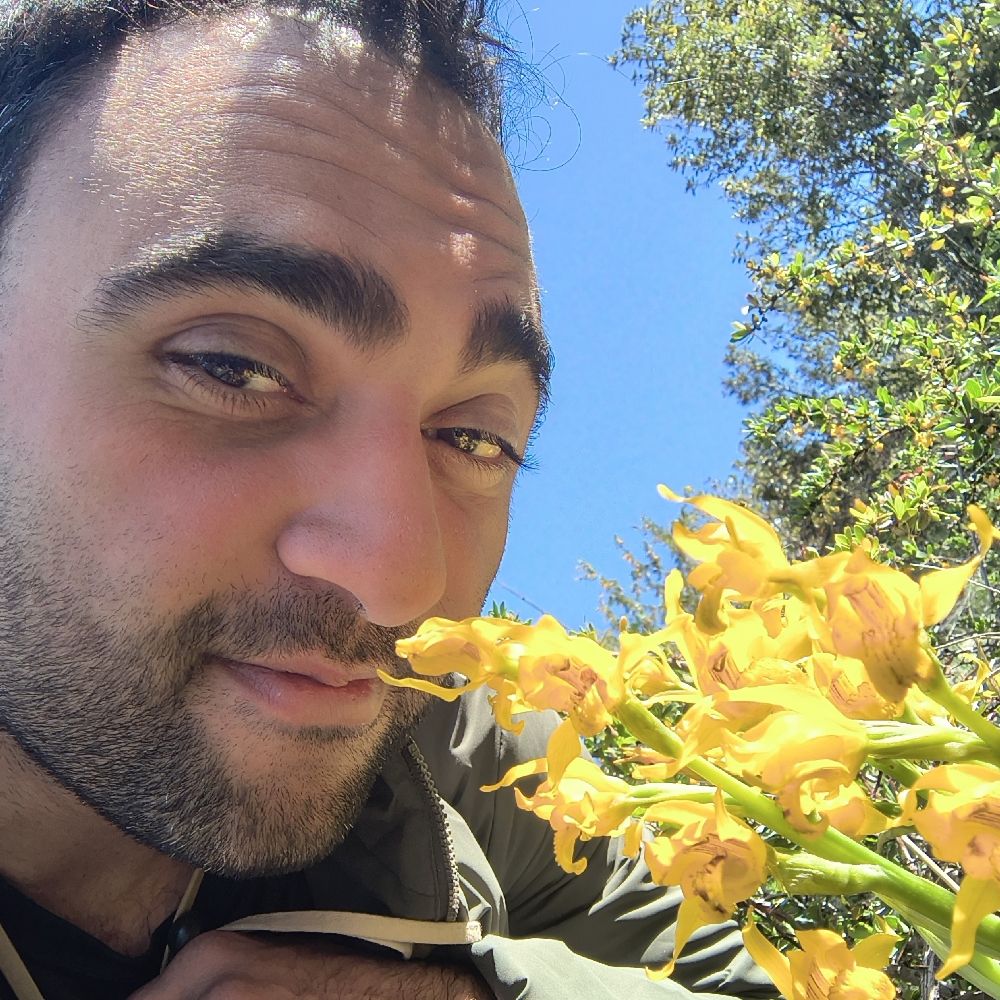 triplearab.bsky.social