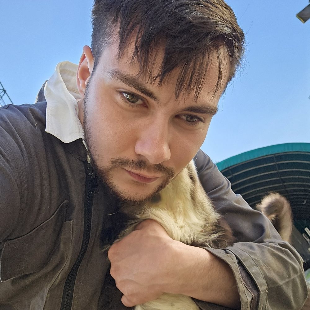 Timon