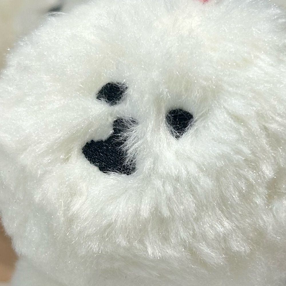 ；テ；