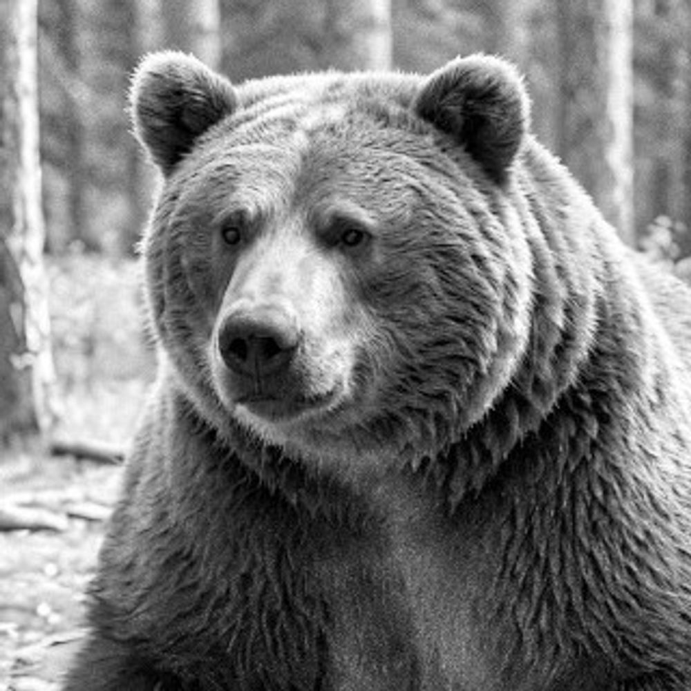 Da Linux Beardude's bot