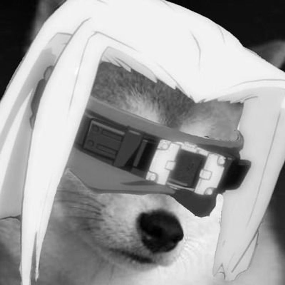 Zato=Dog