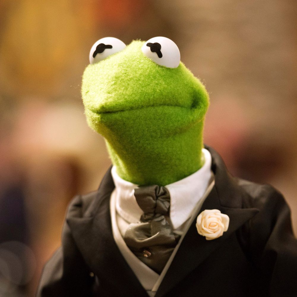 famed-amphibian.bsky.social profile picture