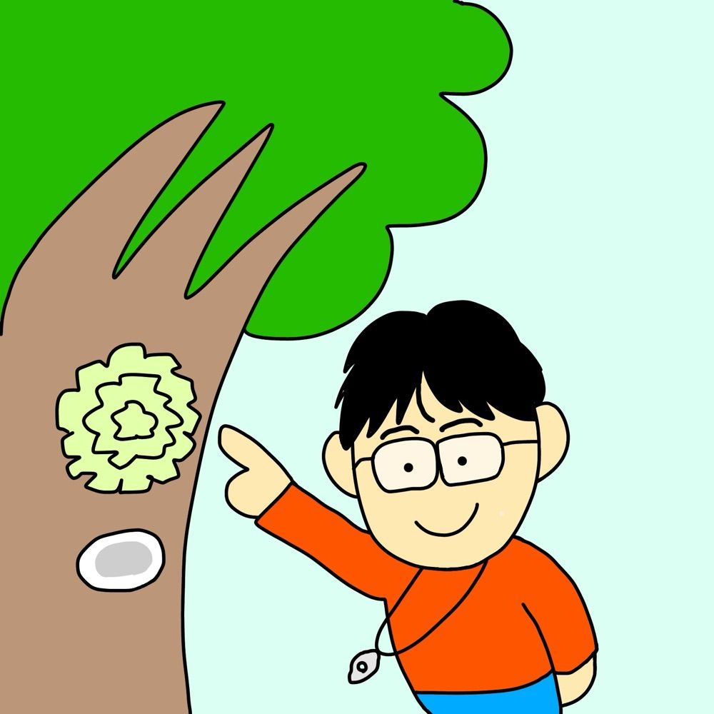 よっさん堂