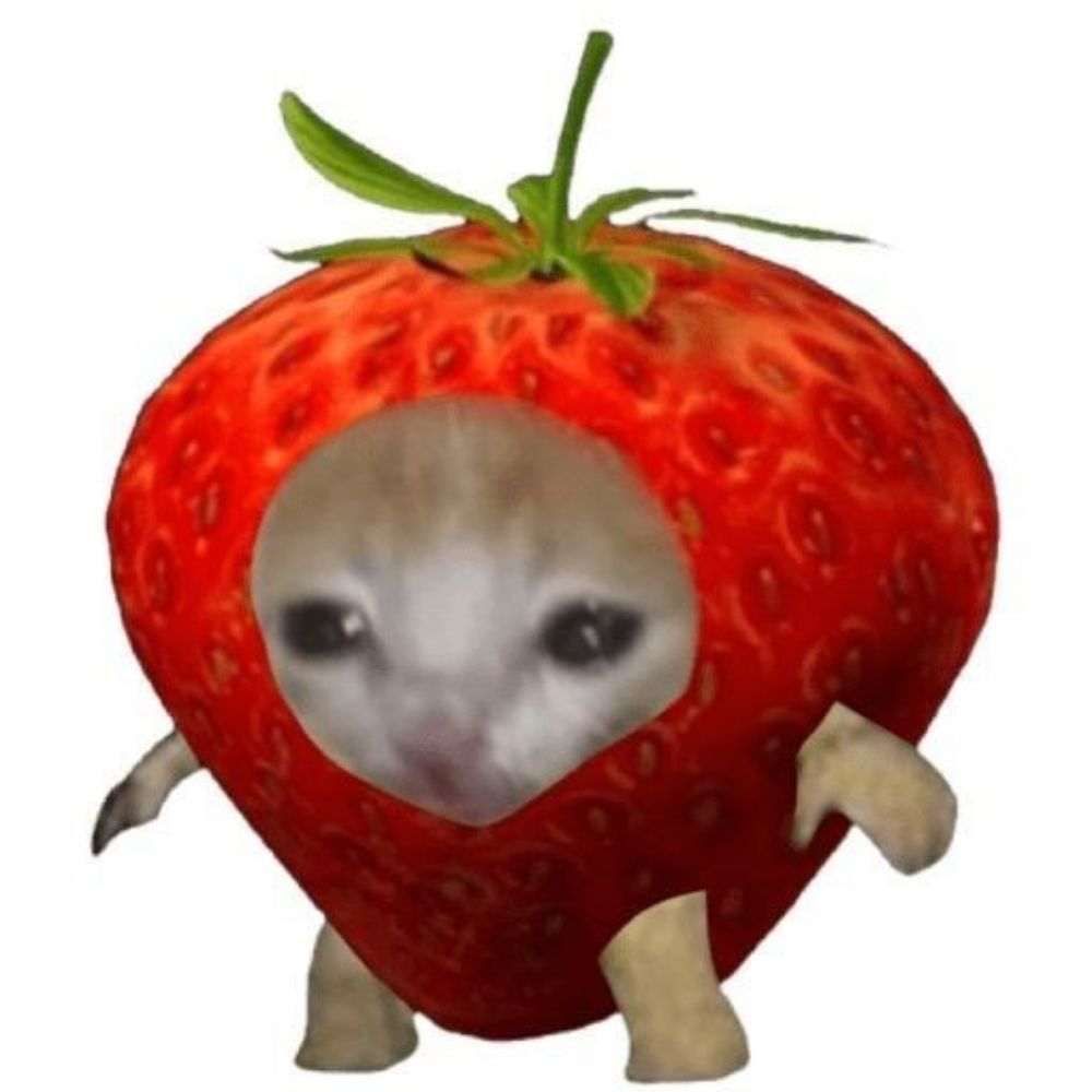 tadinha da silva