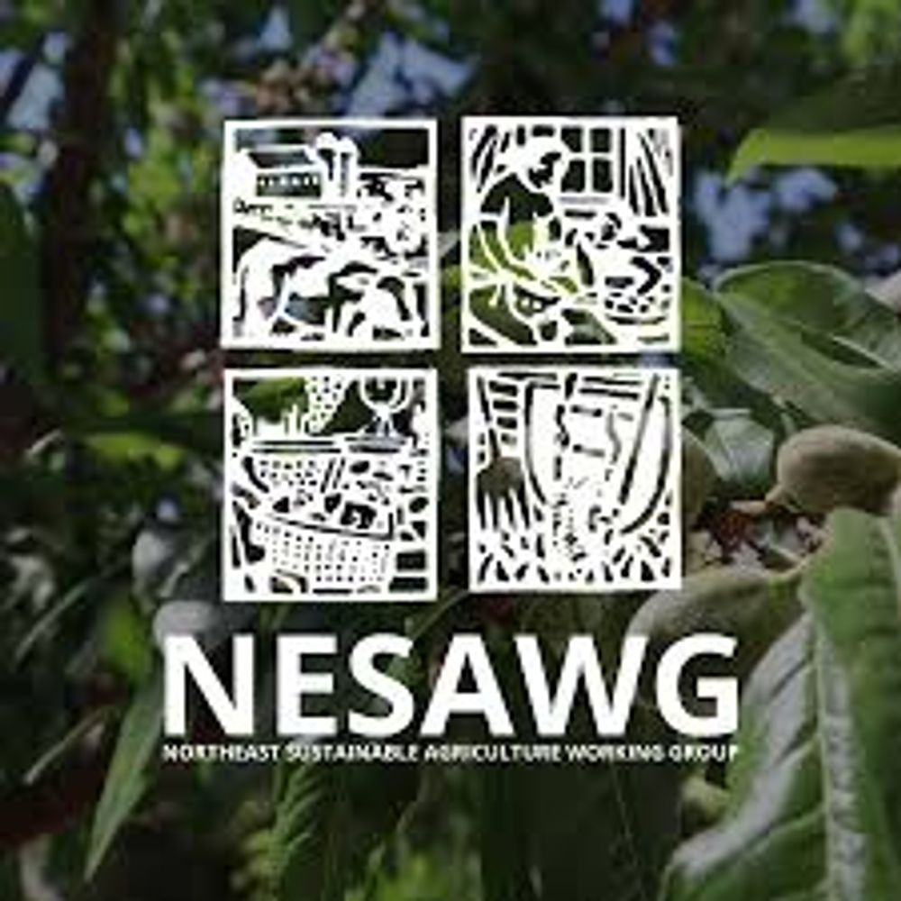 NESAWG