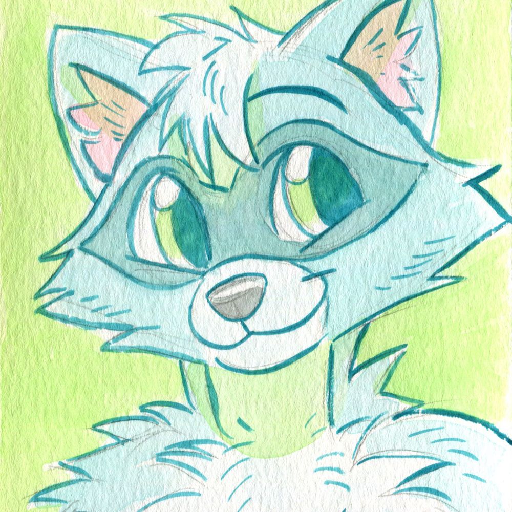 RockoTheRaccoon ▶️ IFC