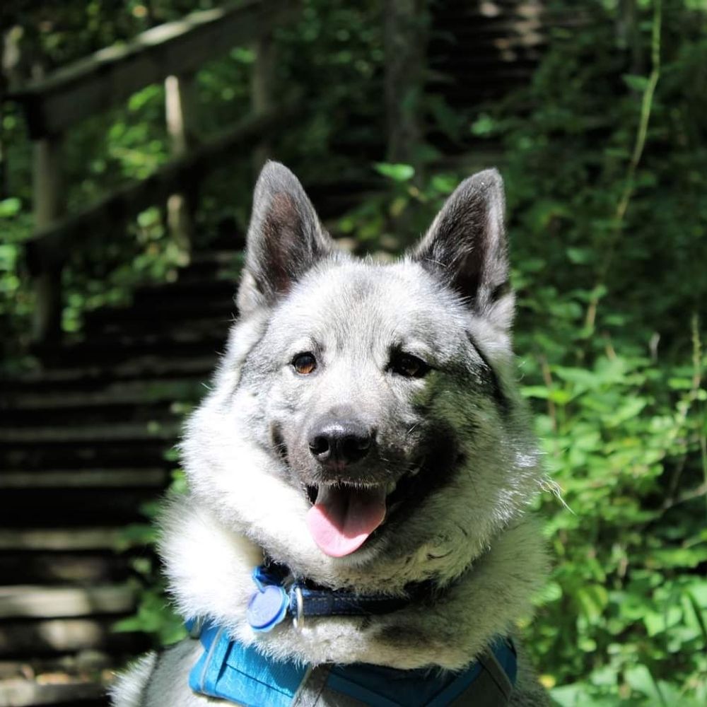 wildmn34.bsky.social profile picture