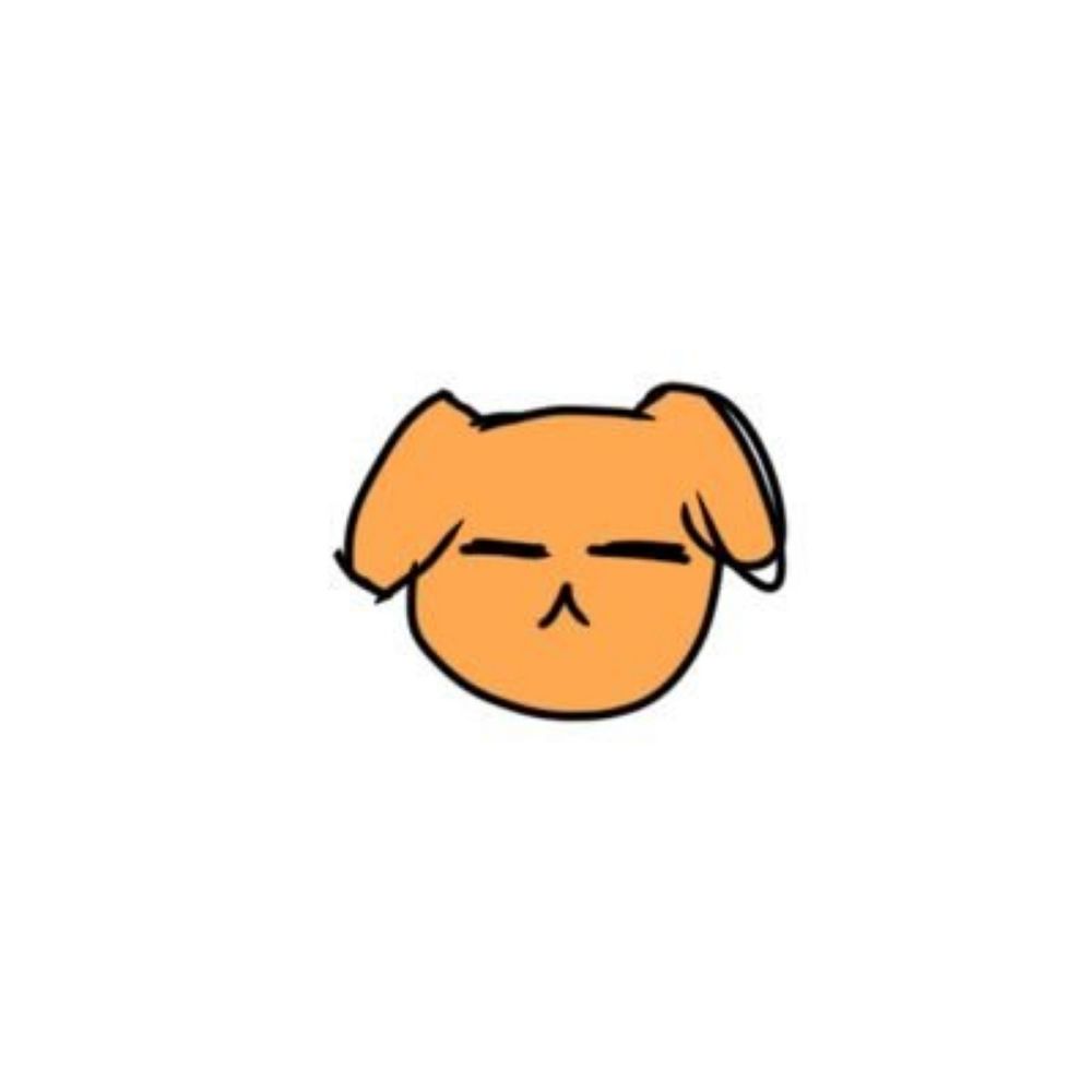 접속 없어요!! 나라