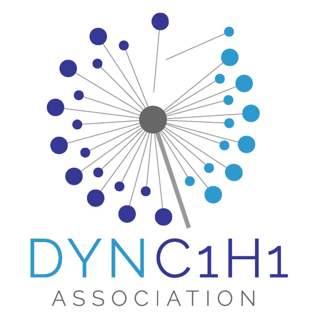DYNC1H1 Association
