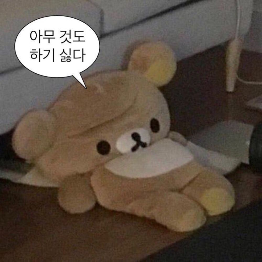 ⁺₊ 찌니빵 ♡̷̷̷
