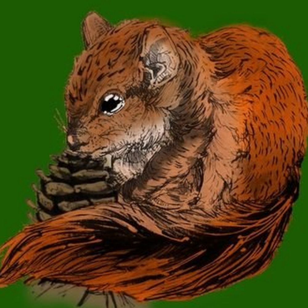 piyne