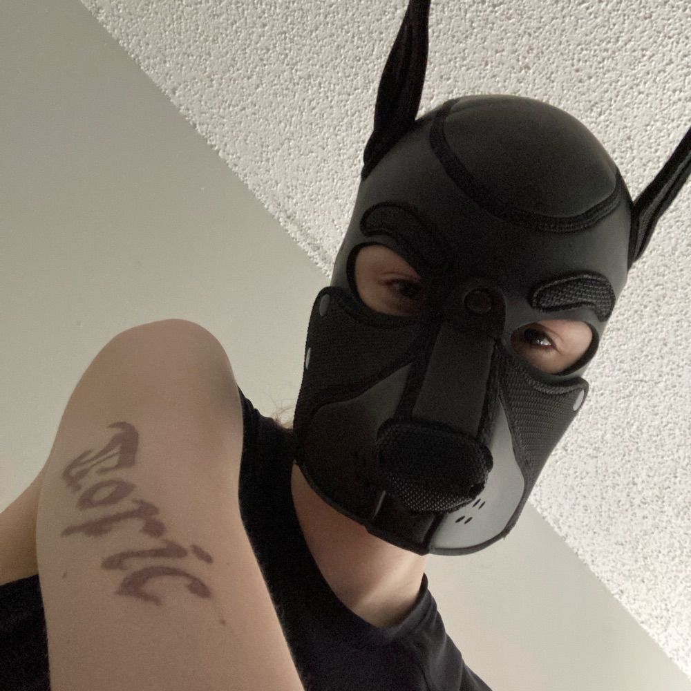 Pup Toxic