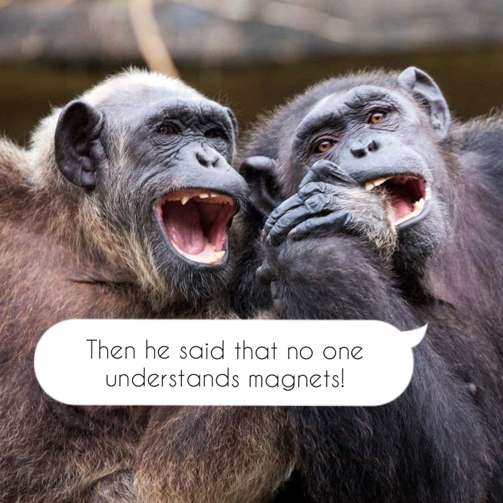 laurenceineu.bsky.social