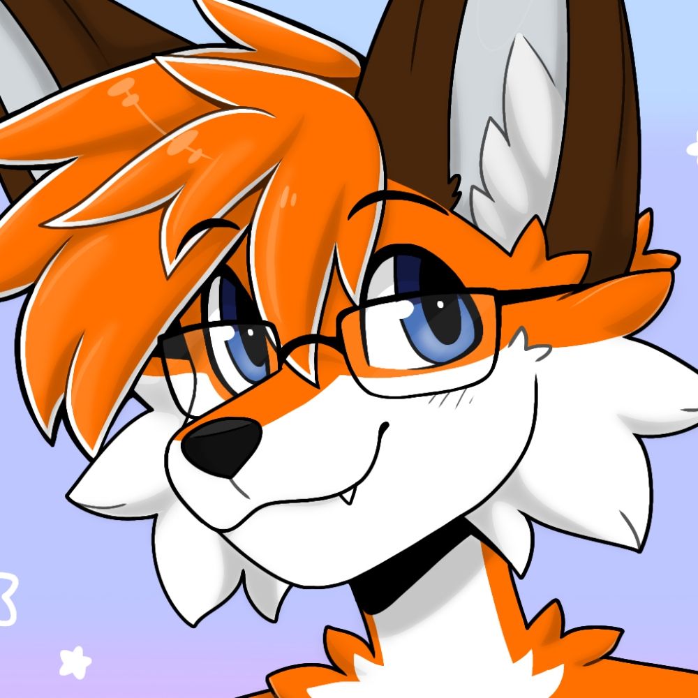Sir Fox/Furball 🦊