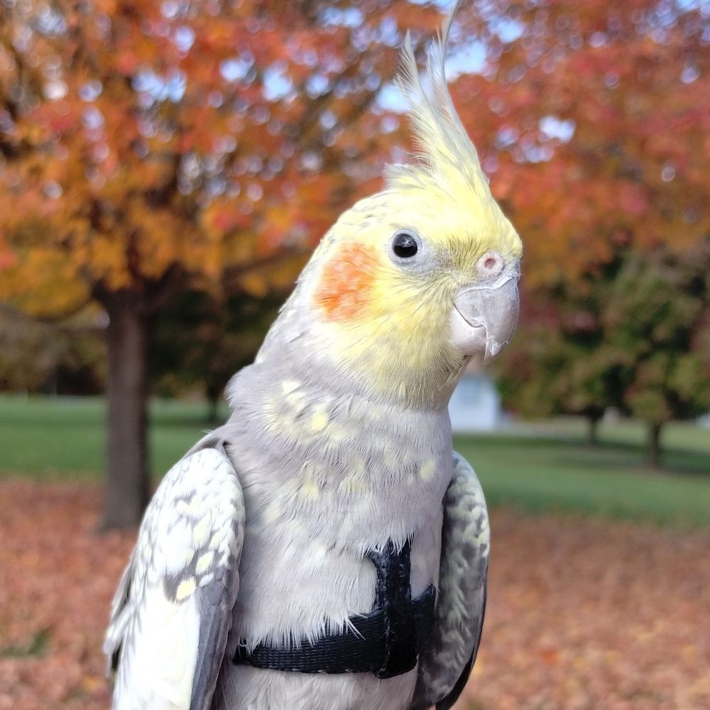 🍁Kierstyn🍂