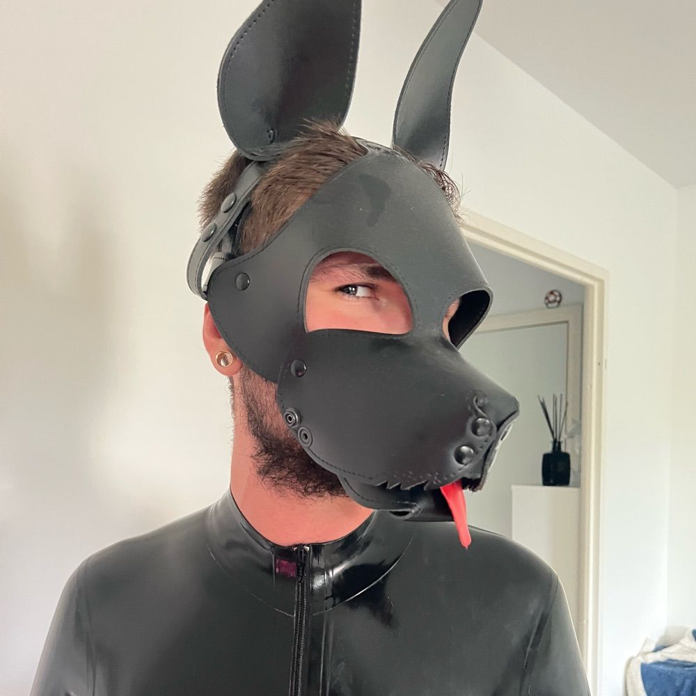 Ace Eks 🐶