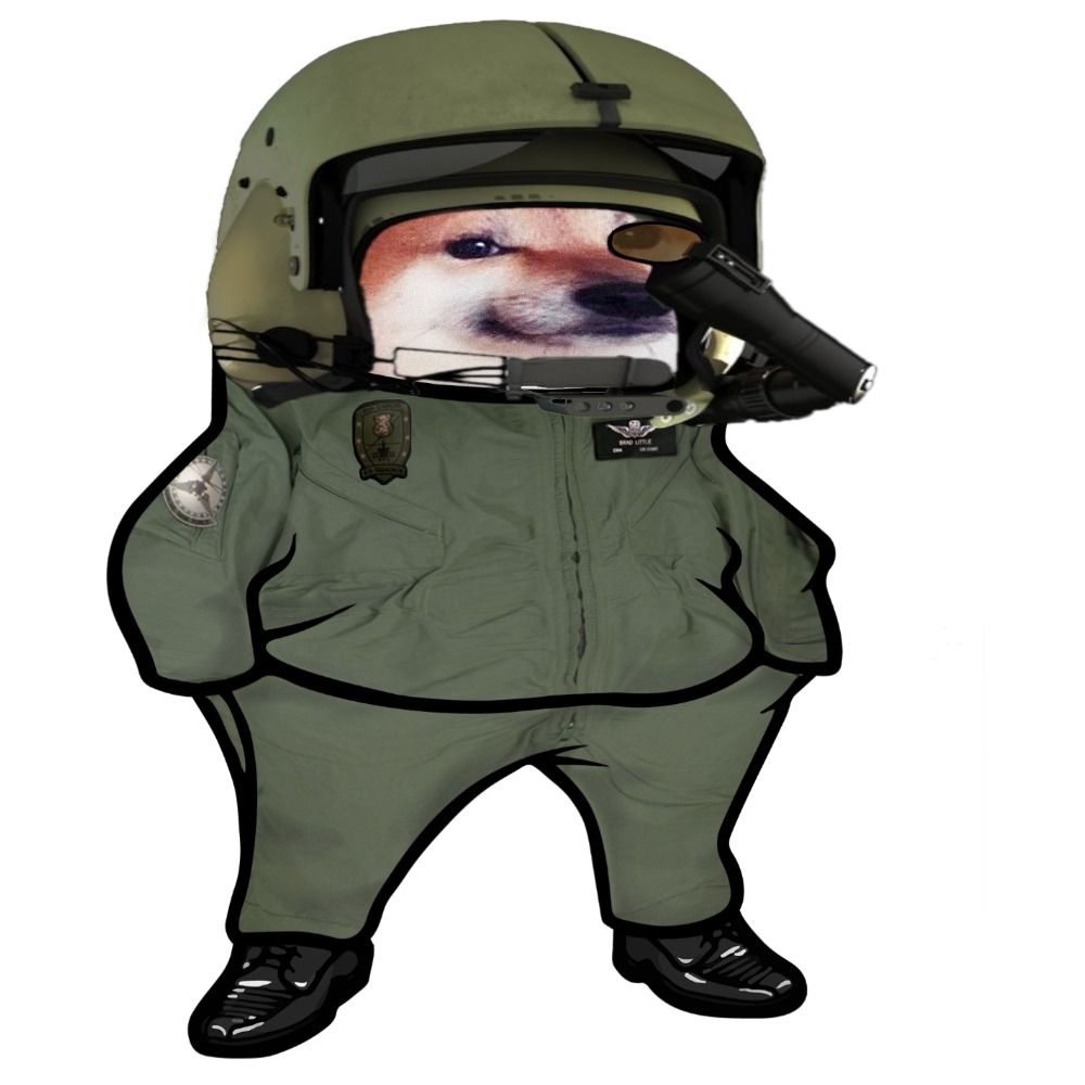Hjärnsynk