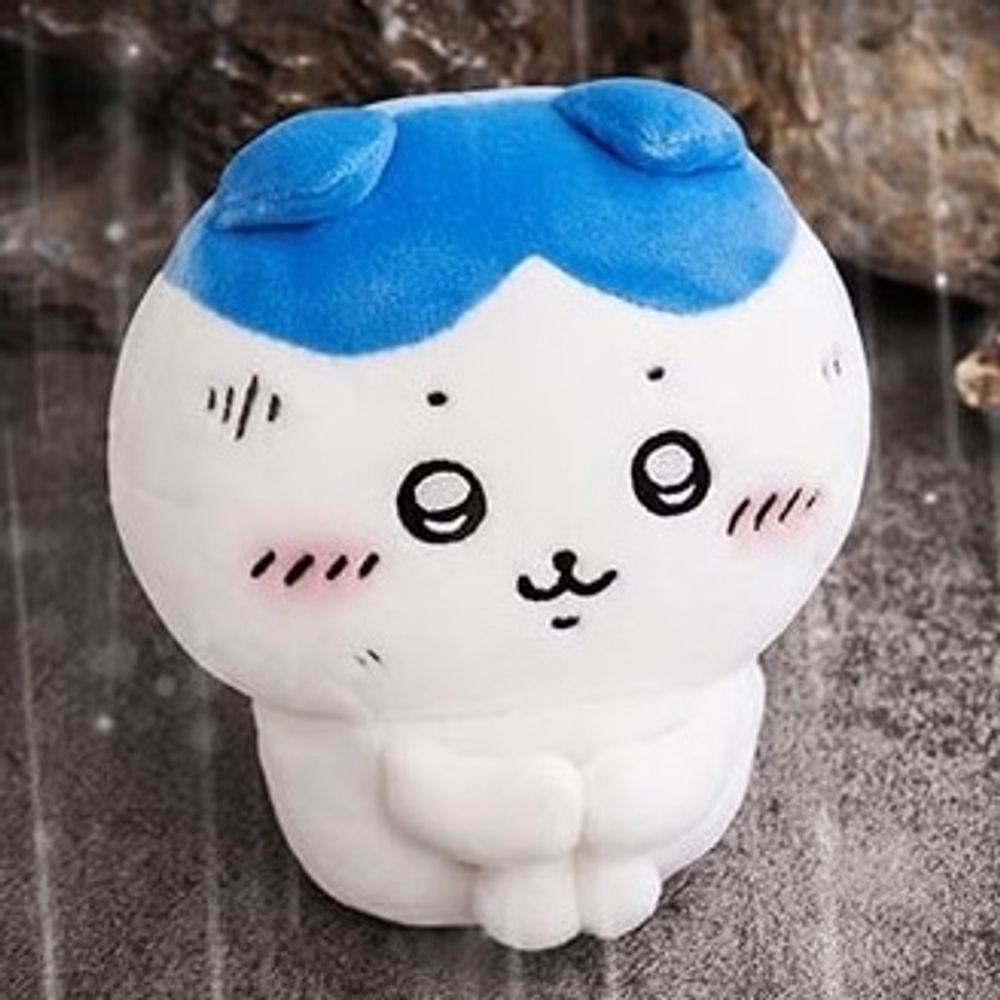 워터🪼