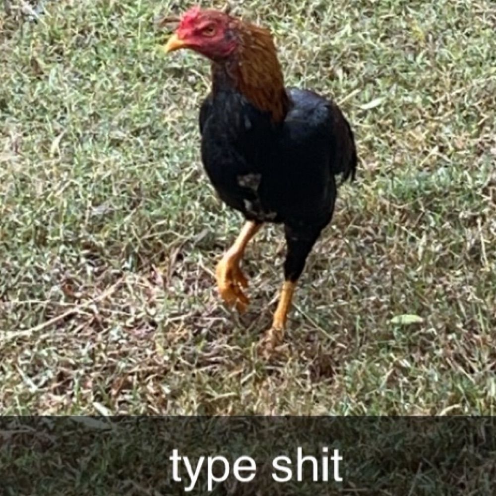 🌱
