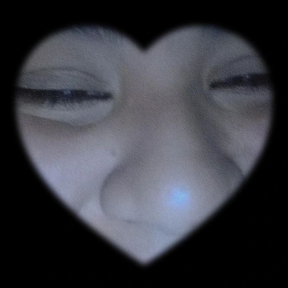 ♡ lice ♡