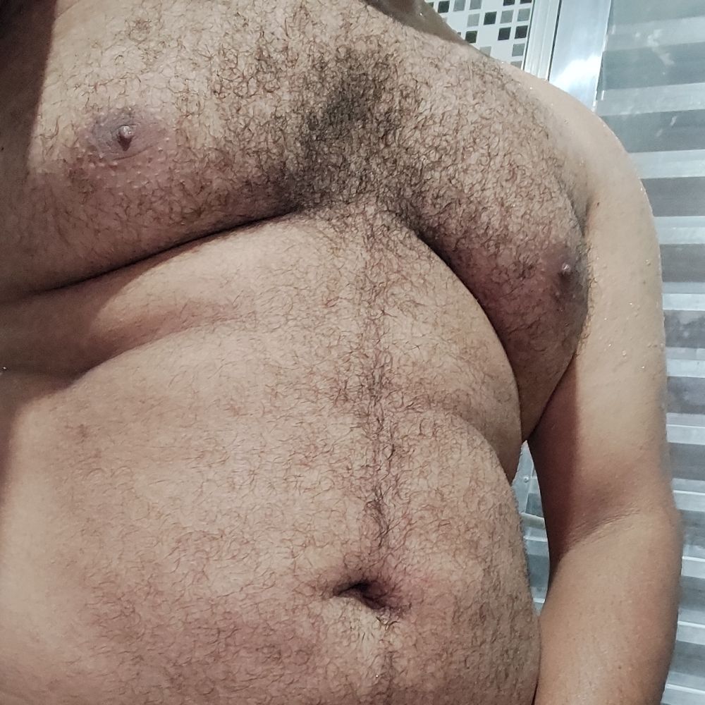 Urso SP ZL 🐻🇧🇷