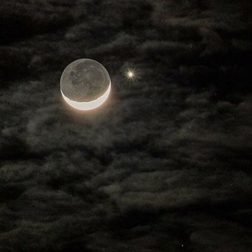 moonie 🖤