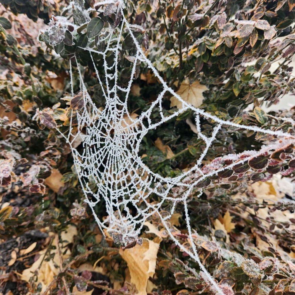 WebWalker
