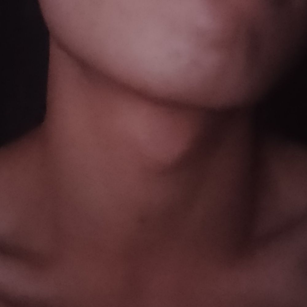 Zeri