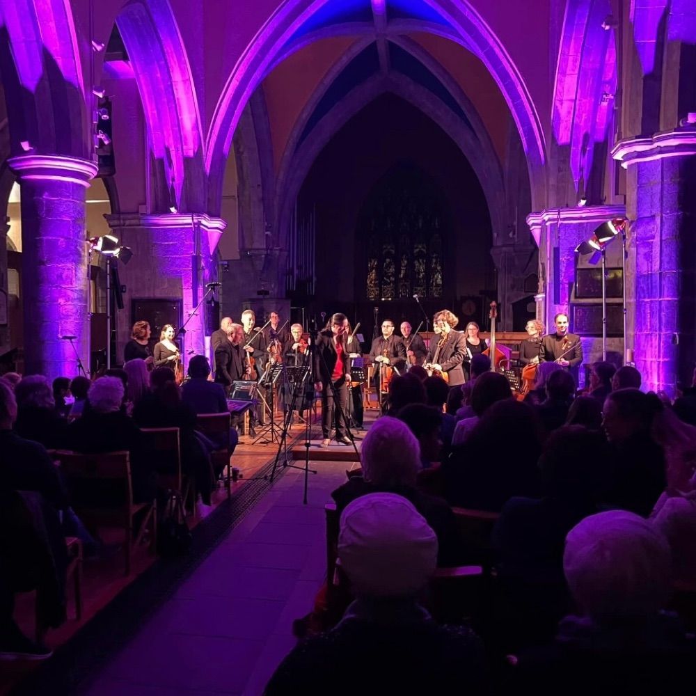 The Luminosa String Orchestra