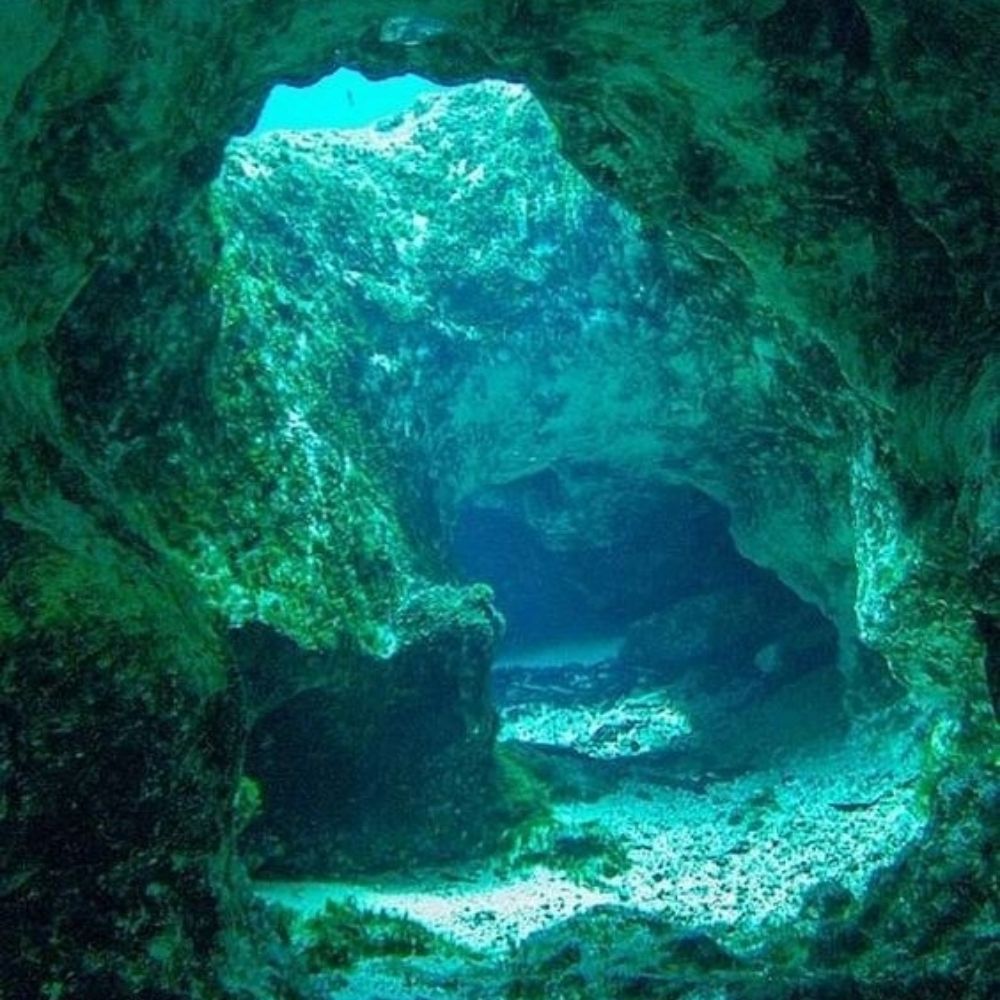 Leviathan Astrology
