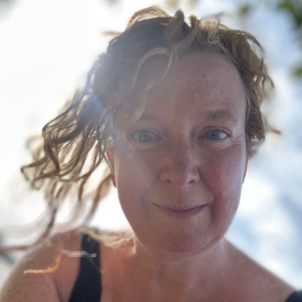 sigridschollen.bsky.social profile picture