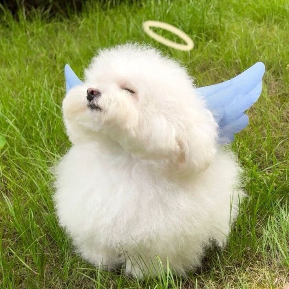 먕곰