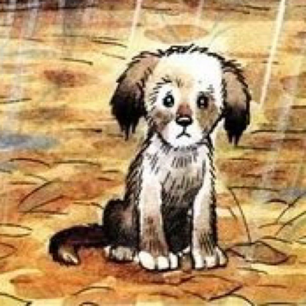 dogthing