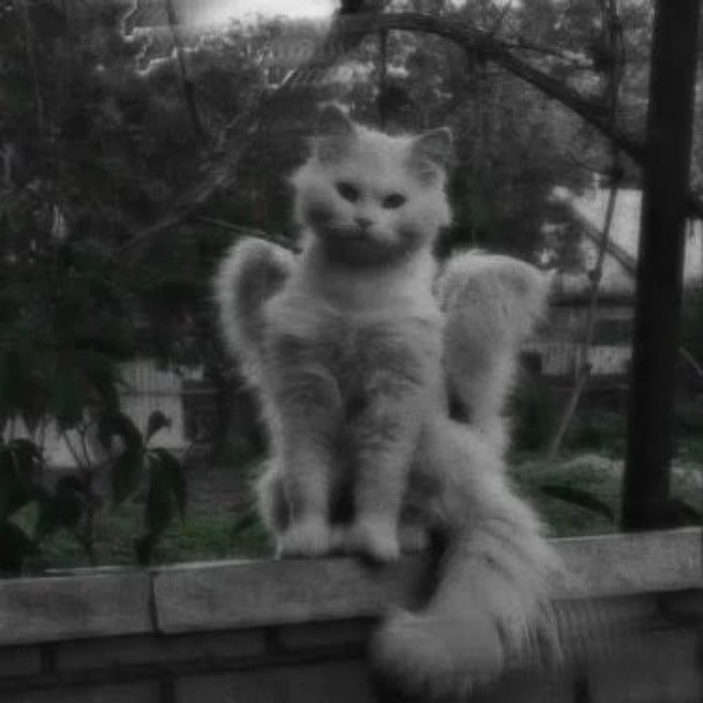 Ghostbunny
