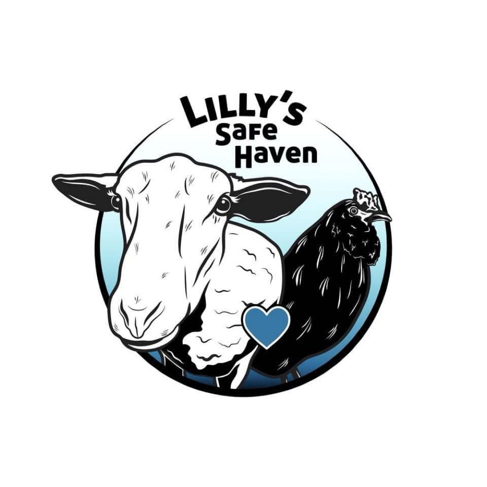 Profile picture lillyssafehaven.bsky.social