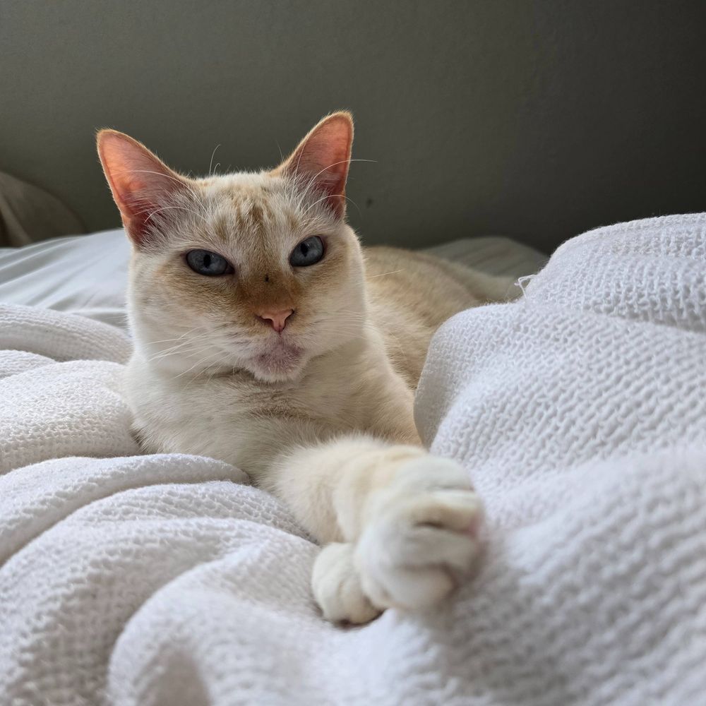 Tynyan