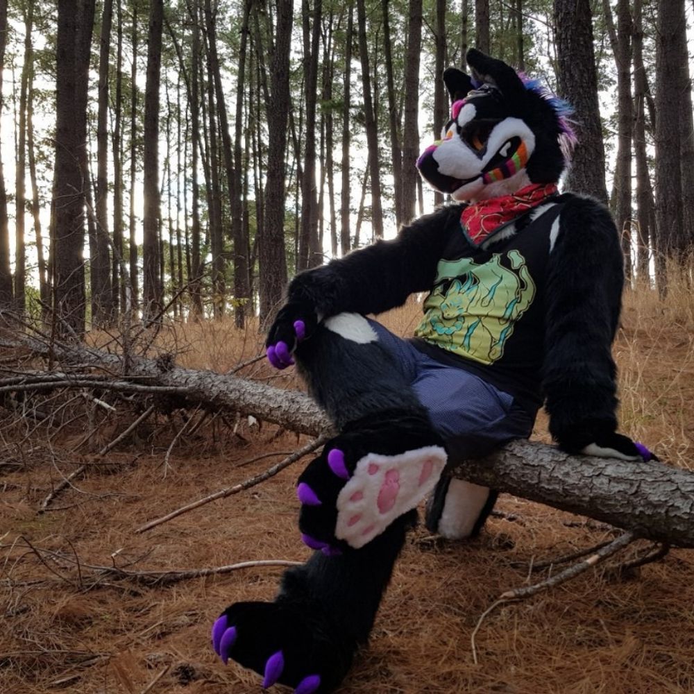 Rave the Batwolf 🦇🐺💜🍉