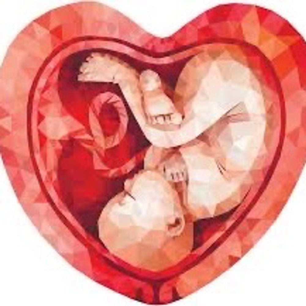 Placenta Lab